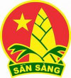 hội đồng đội